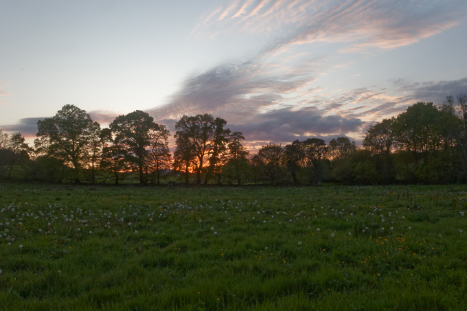 07 Landscape -Theme